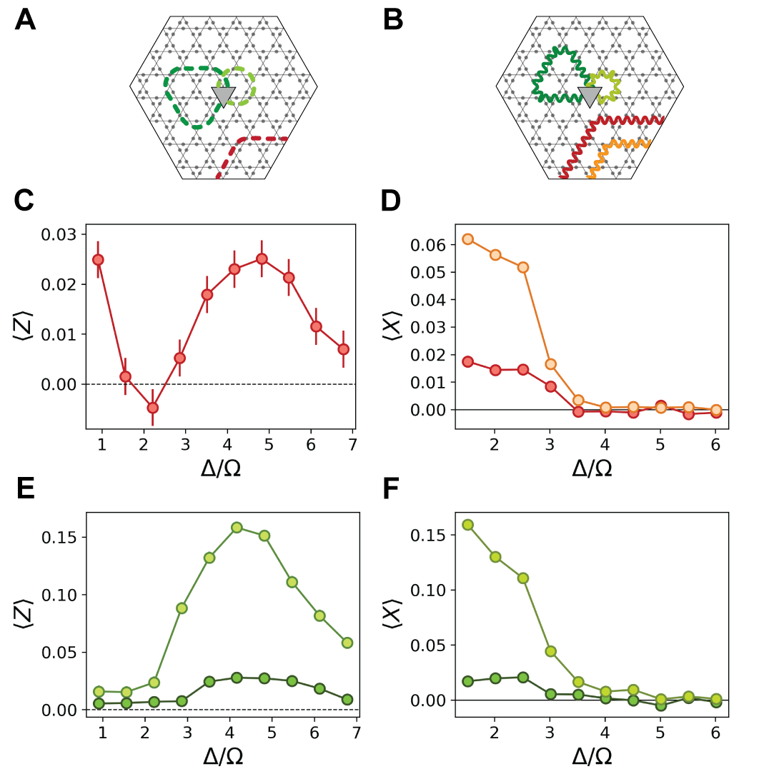 2104.04119] Probing Topological Spin Liquids on a
