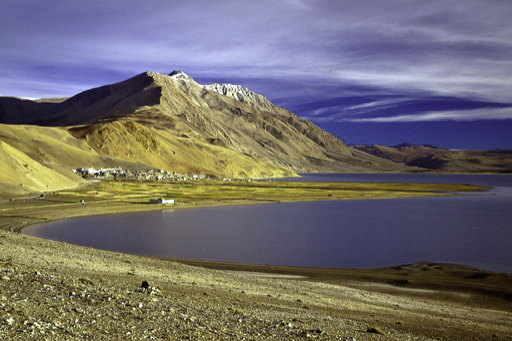 Refer to caption