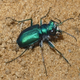 Refer to caption