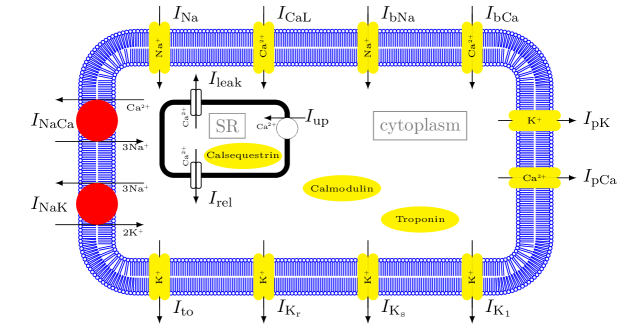 Refer to caption