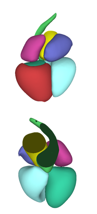 Refer to caption