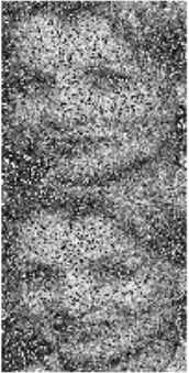 [Uncaptioned image]