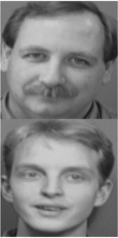 [Uncaptioned image]