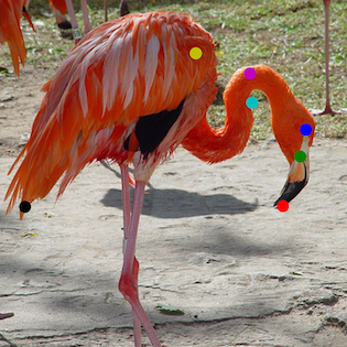 Refer to caption