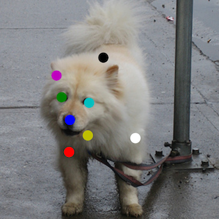 Refer to caption