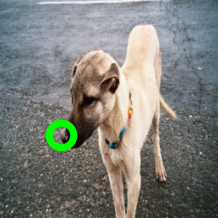 Refer to caption