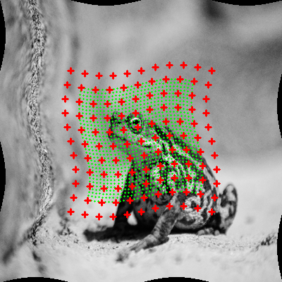 Refer to caption