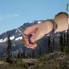 Refer to caption