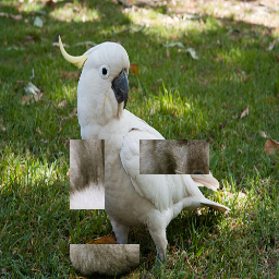 Refer to caption