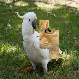 Refer to caption