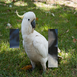 Refer to caption