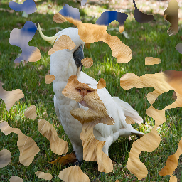 Refer to caption