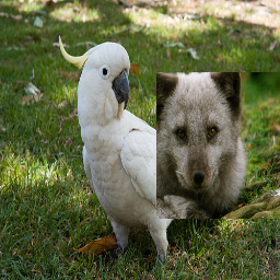 Refer to caption