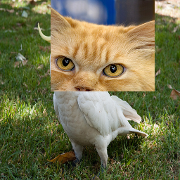 Refer to caption