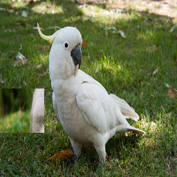 Refer to caption