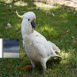 Refer to caption