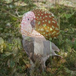 Refer to caption