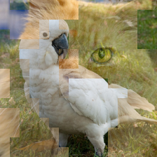 Refer to caption