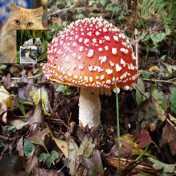 Refer to caption