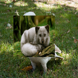 Refer to caption