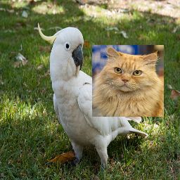 Refer to caption