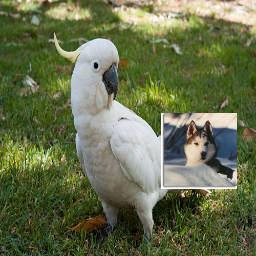 Refer to caption