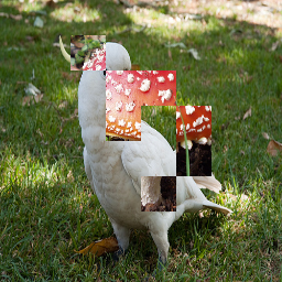 Refer to caption