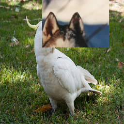 Refer to caption