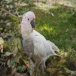 Refer to caption