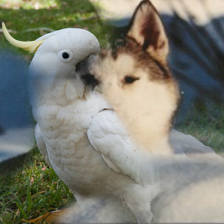 Refer to caption