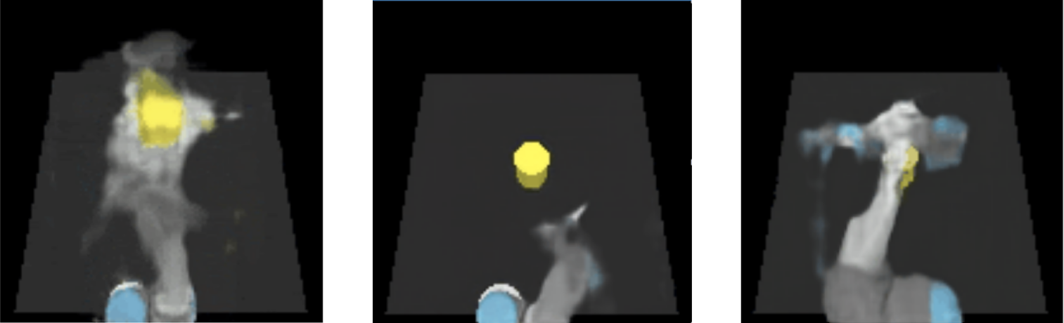 Refer to caption
