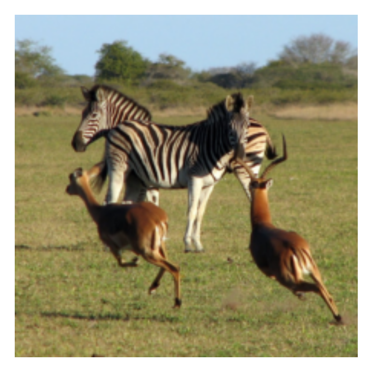 Refer to caption