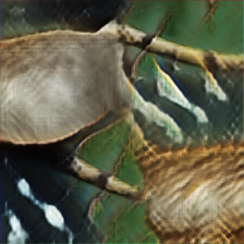 [Uncaptioned image]