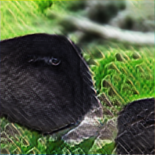 [Uncaptioned image]