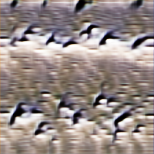[Uncaptioned image]