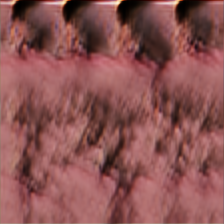 [Uncaptioned image]