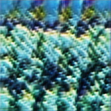 [Uncaptioned image]