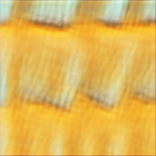 [Uncaptioned image]