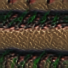 [Uncaptioned image]