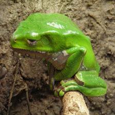 Refer to caption