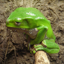 Refer to caption