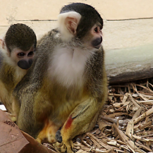 Refer to caption