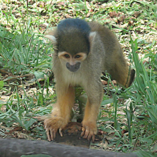 Refer to caption