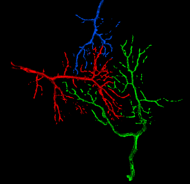 Refer to caption