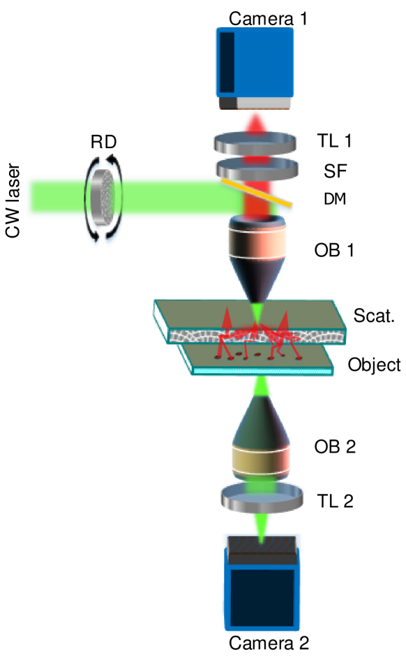 Refer to caption