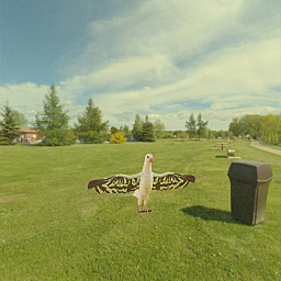 Refer to caption