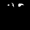 [Uncaptioned image]
