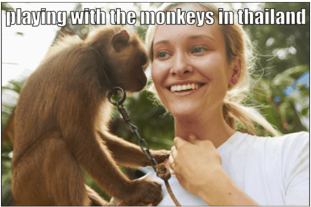 [Uncaptioned image]