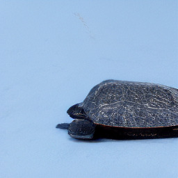 Refer to caption