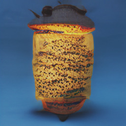 Refer to caption